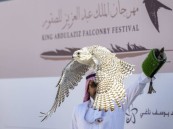 مهرجان الملك عبدالعزيز للصقور يُعلن عن جوائز تتجاوز 33 مليون ريال للفائزين بمسابقتيه الملواح والمزاين