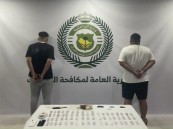 لترويجهما 11 كيلوجرامًا من الحشيش.. مكافحة المخدرات تقبض على شخصين بالشرقية