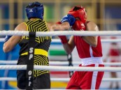 17 حكمًا ينالون الشارة الدولية في الملاكمة