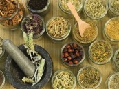 الطب الحديث أولا.. تحذير مهم من أعشاب قد تؤدي إلى عواقب خطيرة