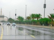 أمطار متوسطة على مناطق متفرقة بالشرقية