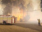 موجة حارة في أستراليا تزيد من خطر حرائق الغابات