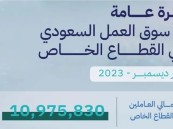 خلال شهر ديسمبر.. ارتفاع إجمالي العاملين في القطاع الخاص بالمملكة إلى 10.9 ملايين