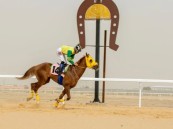 بالصور.. ميدان فروسية الأحساء يقيم حفل سباقه الـ 17 للعام الحالي