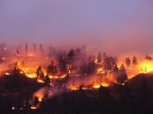 مصرع 19 شخصًا بسبب الحرائق في تشيلي