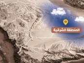 رياح شديدة وأتربة مثارة.. حالة الطقس على الشرقية اليوم الثلاثاء