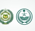 في الشرقية.. القبض على مواطنين لترويجهما الشبو المخدر
