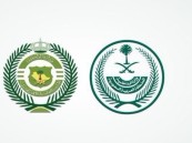 في الشرقية.. القبض على 3 أشخاص لترويجهم مادة “الشبو” المخدر