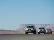 القبض على شخص لترويجه مادة الميثامفيتامين المخدر (الشبو) بالشرقية