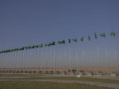 1262 كلم تقطعها مطايا مهرجان خادم الحرمين الشريفين للهجن