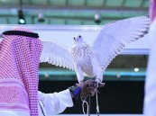 مهرجان الأحساء للصقور يخصص مركزًا لفحص المنشطات