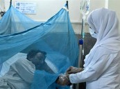 تفشي حمى الضنك في البرازيل والحكومة تتخذ إجراءات صحية طارئة