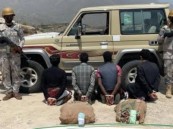 القبض على (4) مخالفين لنظام أمن الحدود لتهريبهم (115) كيلوجرامًا من نبات القات المخدر