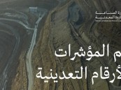 إصدار 25 رخصة تعدينية جديدة خلال شهر يناير 2024