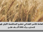 الأولى لهذا العام.. الهيئة العامة للأمن الغذائي تطرح مناقصة لاستيراد 595 ألف طن قمح