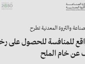 في المنطقة بالشرقية.. طرح 4 رخص كشف للمنافسة على خام الملح في مجمع رأس القرية