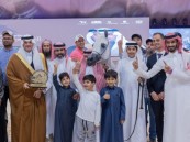 برعاية أمير الشرقية.. محافظ الأحساء يتوج الفائزين بجمال الخيل العربية الأصيلة