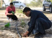 تحت شعار “نزرعها لننعم بها”..  تنمية العمران تنفذ مبادرة التشجير