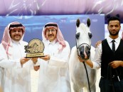 بالصور.. انطلاق مهرجان الشرقية الدولي لجمال الخيل العربية الأصيلة