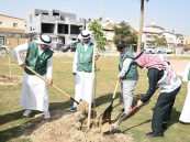 أمانة الشرقية تنتهي من زراعة 9 آلاف شجرة وتشجير ١٦ موقعًا في القطيف