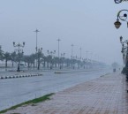 من الأحد حتى الخميس.. تقلبات جوية وأمطار متوسطة إلى غزيرة على الأحساء وأجزاء من الشرقية