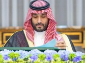 تفاصيل قرار مجلس الوزراء بشأن النازحين من دول الجوار