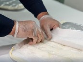 ضبط شخصين لترويجهما “الشبو” المخدر بالشرقية