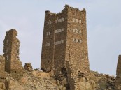 منها المنطقة الشرقية.. توثيق 70 موقعًا أثريًا جديدًا بمختلف مناطق المملكة