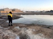 معالجة 466 موقعًا لتجمعات المياه بالأحساء.. وطرق حيوية للمكافحة الحشرية