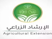 توضيح مهم من”الإرشاد الزراعي”بشأن أهمية رش أشجار الحمضيات العضوية بمركّبات الكالسيوم والبورون