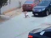 بالفيديو.. كاميرا مراقبة توثق لحظة نجاة طفلة من حادثة دهس على أحد الطرق