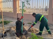 في ٢٠٢٤.. أمانة الأحساء تستهدف زراعة 800 ألف شجرة