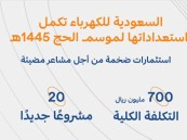 بـ 20 مشروعًا جديدًا.. السعودية للكهرباء (sec) تكمل استعداداتها لموسم حج 1445هـ