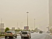 موعد بداية موجة الحر؟.. خبير مناخي يكشف: مقبلون على مرحلة حرجة