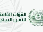 في المنطقة الشرقية.. ضبط مخالفًا لنظام البيئة لتخزينه حطبًا محليًا