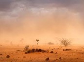 إطلاق الإنذار الأحمر بعواصف ترابية على المنطقة الشرقية