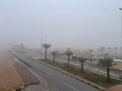 الأرصاد تطلق الإنذار البرتقالي بضباب على الأحساء غدًا