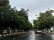 بدء موسم الغفر.. أول نسمات الشتاء تلوّح في الأفق