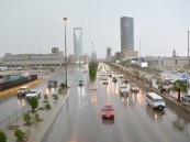 غدًا.. بداية فصل الخريف أرصاديًا