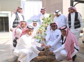 «السُّعُودية الخضراء».. تشجير الساحات الخارجية بفرع البيئة والمياه بالأحساء