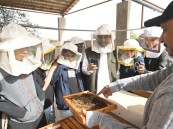 أكثر من 450 طالبا وطالبة يطلعون على أهمية الممارسات الزراعية المستدامة بالأحساء