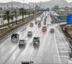 حتى 3 مساءً.. أمطار متوسطة وضباب على الأحساء وأجزاء من الشرقية