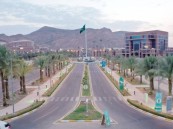 رابط التقديم بالداخل.. وظائف أكاديمية للسعوديين في جامعة طيبة