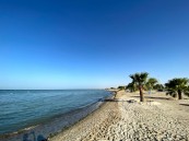 احجز تذكرتك.. تجربة شاطئية فريدة تجمع بين التأمل والاستجمام على شاطئ العقير