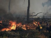 كارقة في اليونان.. إجلاء المئات جراء الحرائق في جزيرة خيوس