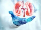 احمِ كليتيك قبل فوات الأوان.. روشتة الوقاية الذهبية من أمراض الكلى