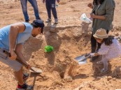 بالتعاون من 51 جهة.. زراعة أكثر من 31.2 مليون شجرة في الشرقية ضمن جهود “الغطاء النباتي”