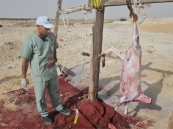 في المنطقة الشرقية.. ضبط 89 موقع ذبح عشوائي في يومي عيد الأضحى