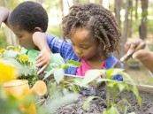 في الإجازة الصيفية.. 6 أنشطة يومية تعزز الصحة الإدراكية للأطفال