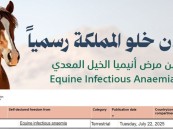 إنجاز بيطري جديد.. المملكة خالية رسميًا من أنيميا الخيل المعدي